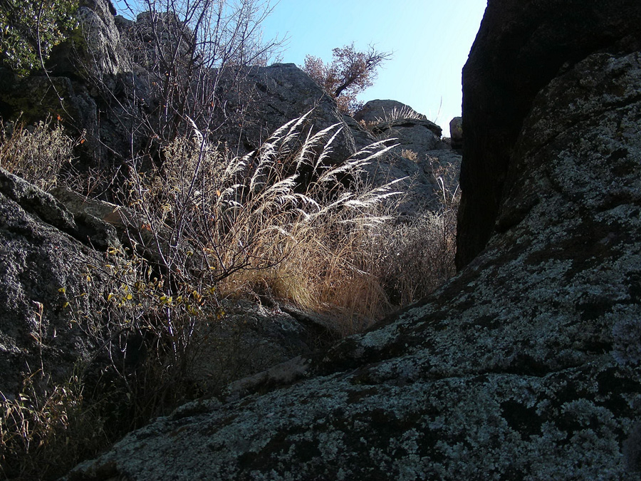 Fort Davis, south-facing granite rock-wall